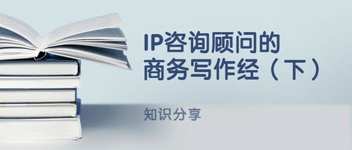 ip咨询顾问的商务写作经 下 高层次实务人才